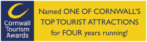 Cornwall Tourism Awards Logo